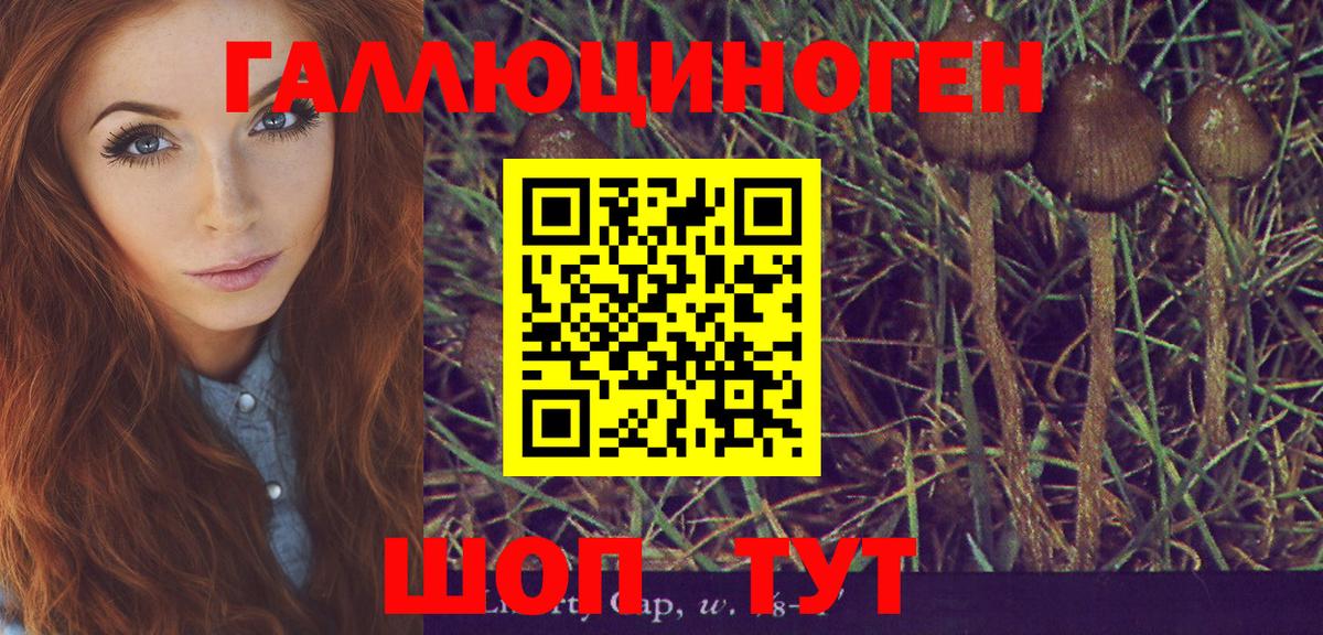 Галлюциногенные грибы GOLDEN TEACHER Боровичи
