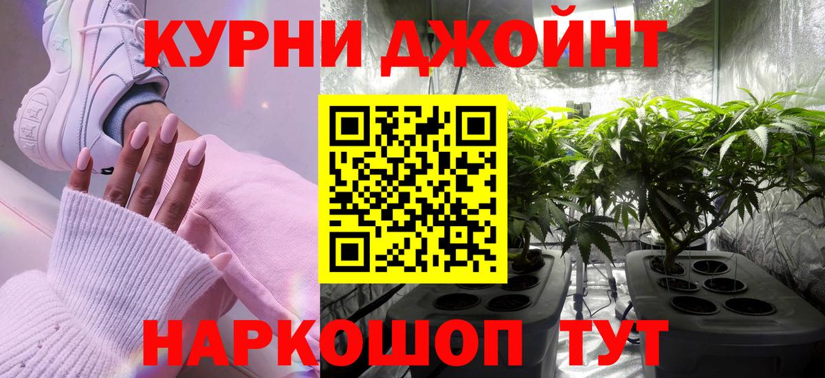 Боровичи  Шишки марихуана план  Вход с VPN  Каннабис планчик  Бошки Шишки ГИДРОПОН 